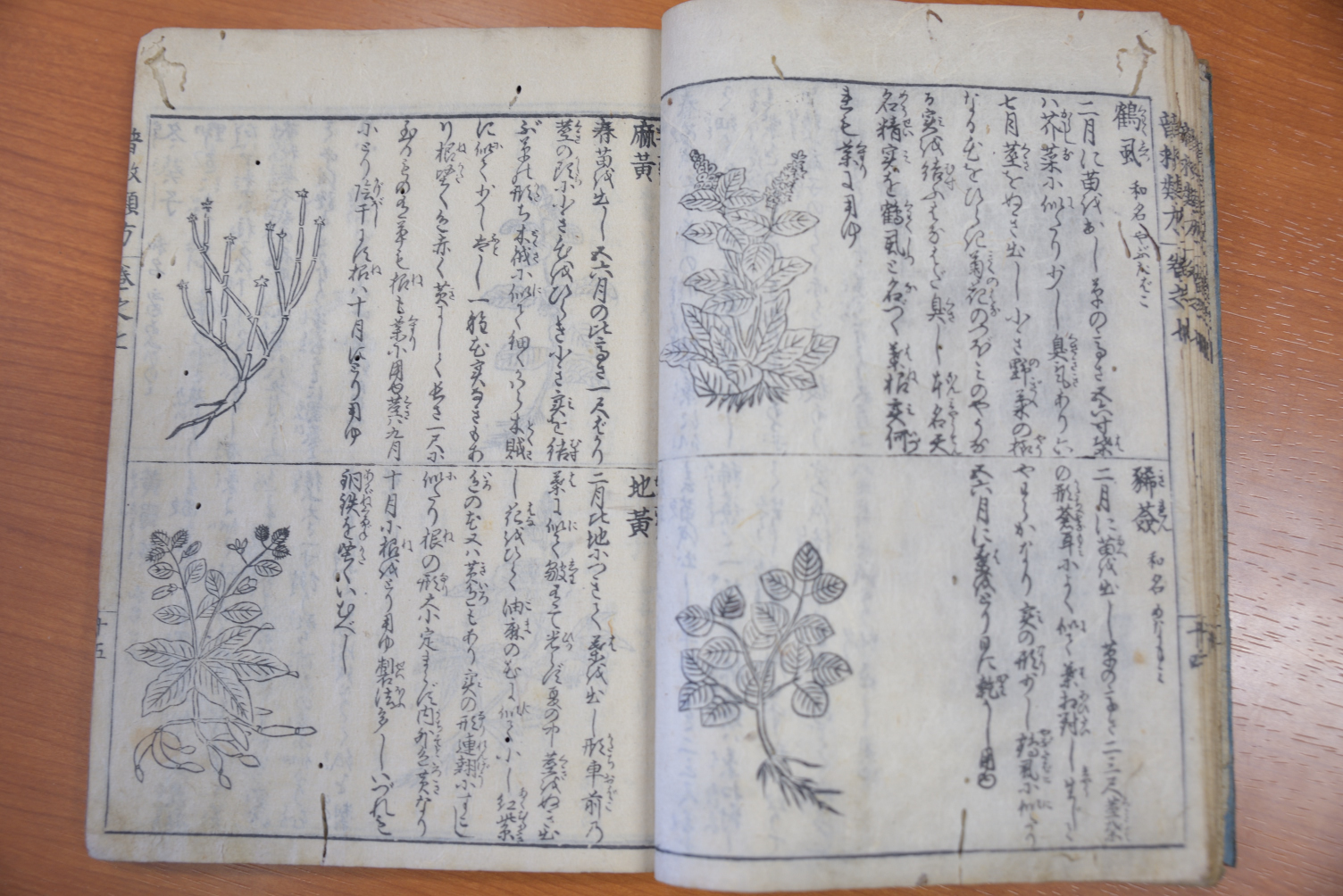 高塩氏所有の「普救類方」。