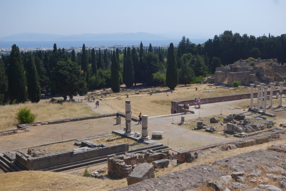 木原 志乃 國學院大學
